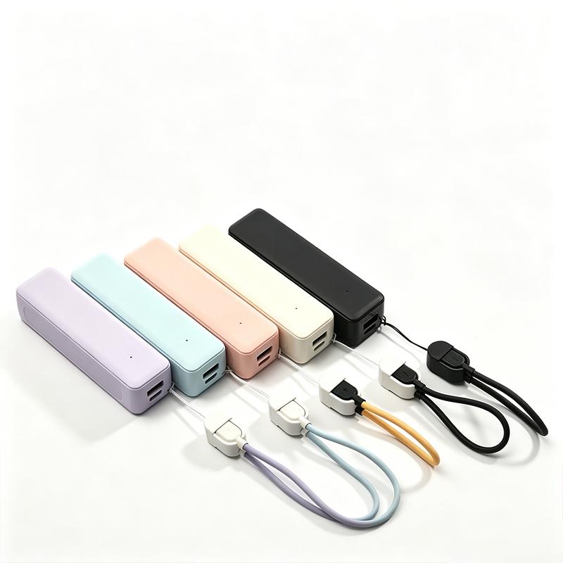 21700 Batterie-Powerbank-Gehäu – Diy Wearable Electronics Bewertung und Preis