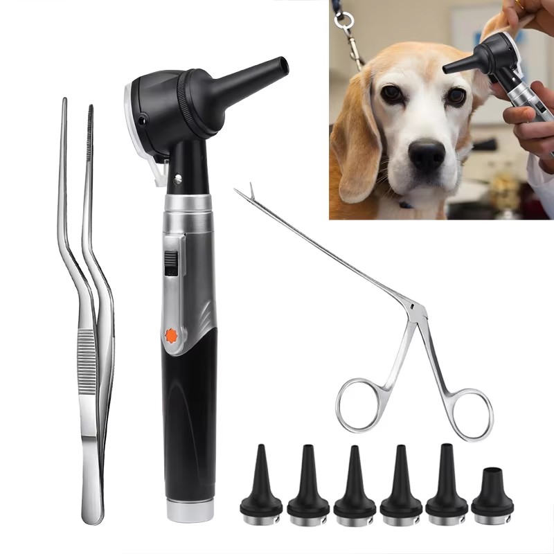 Medizinisches Tierärztliches O – Crocodile Clip Set Bewertung und Preis